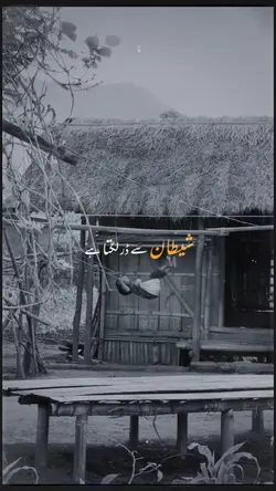 Poetry | اجمل رضا