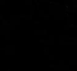 Its not just a photo