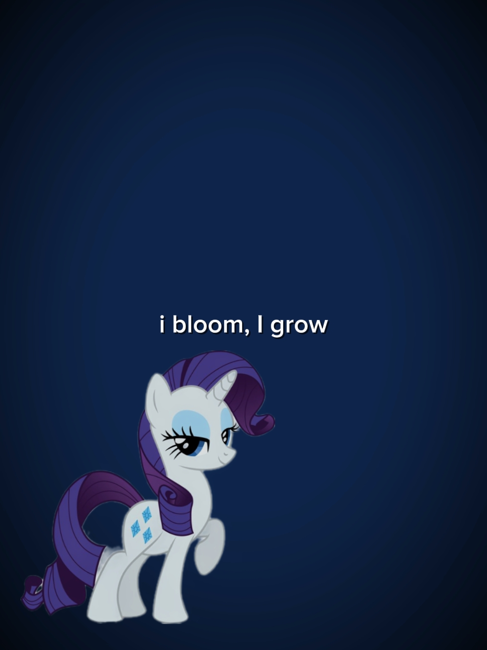 PONY