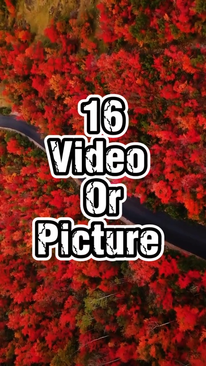 16 video or picture 