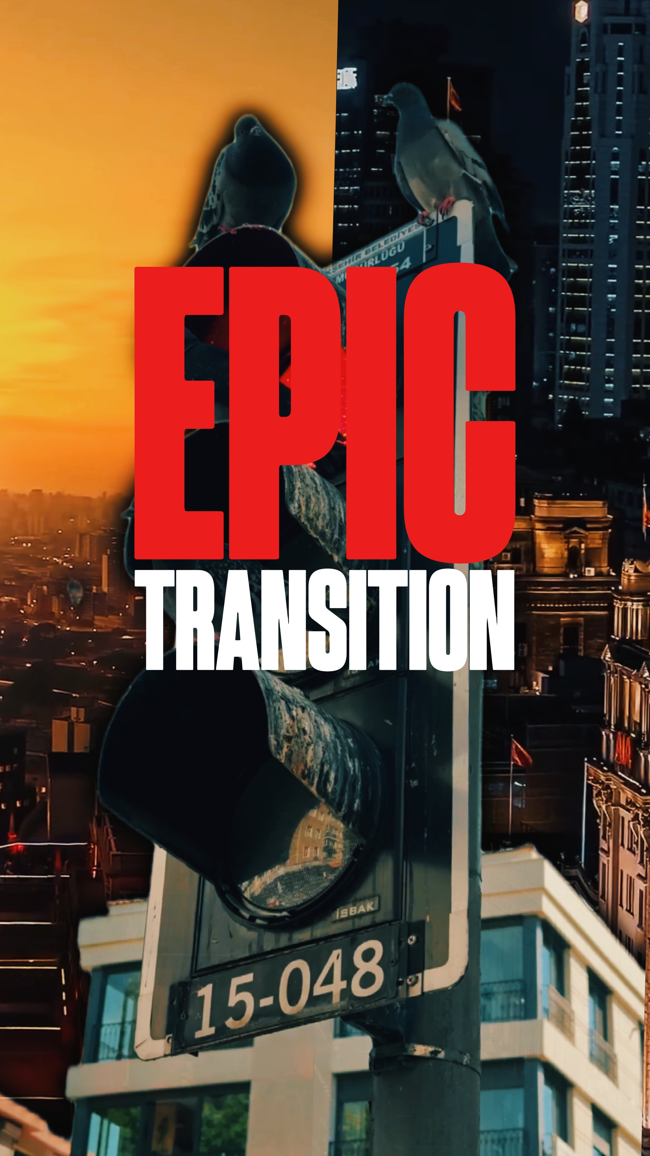 TRANSICIÓN ÉPICA 