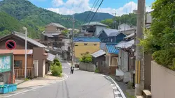 田舎色