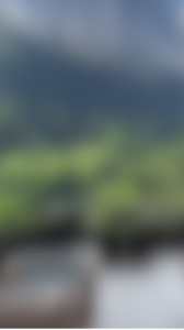 New template 