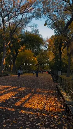 little moments