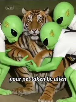 pet taken the alien 