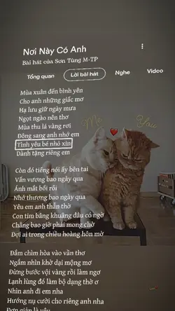 Nơi Này Có Anh