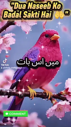 Dua Naseeb Ko Badal 