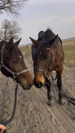 smooth slowmo 🥹💘