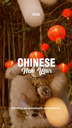 Chinese New Year 