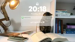 Opening / Intro Vlog