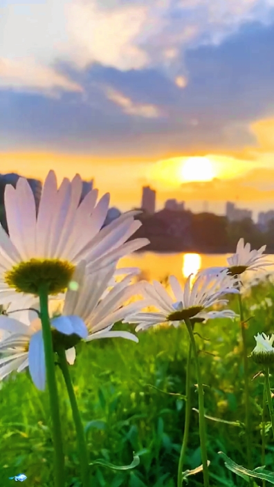 10 photos vidéo