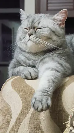 Entahlah