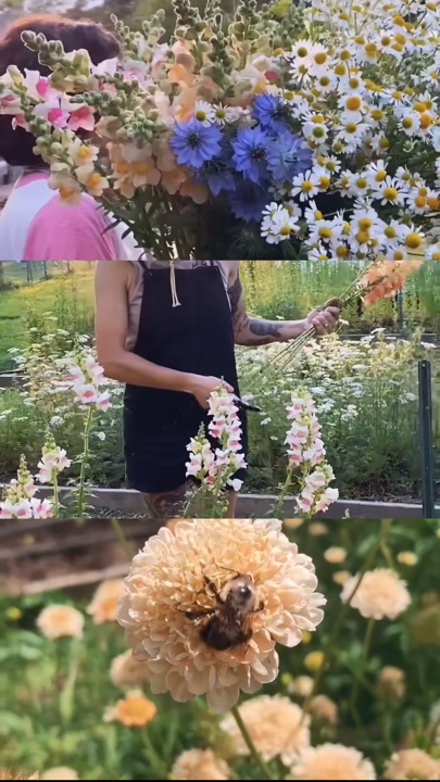 Jardinería