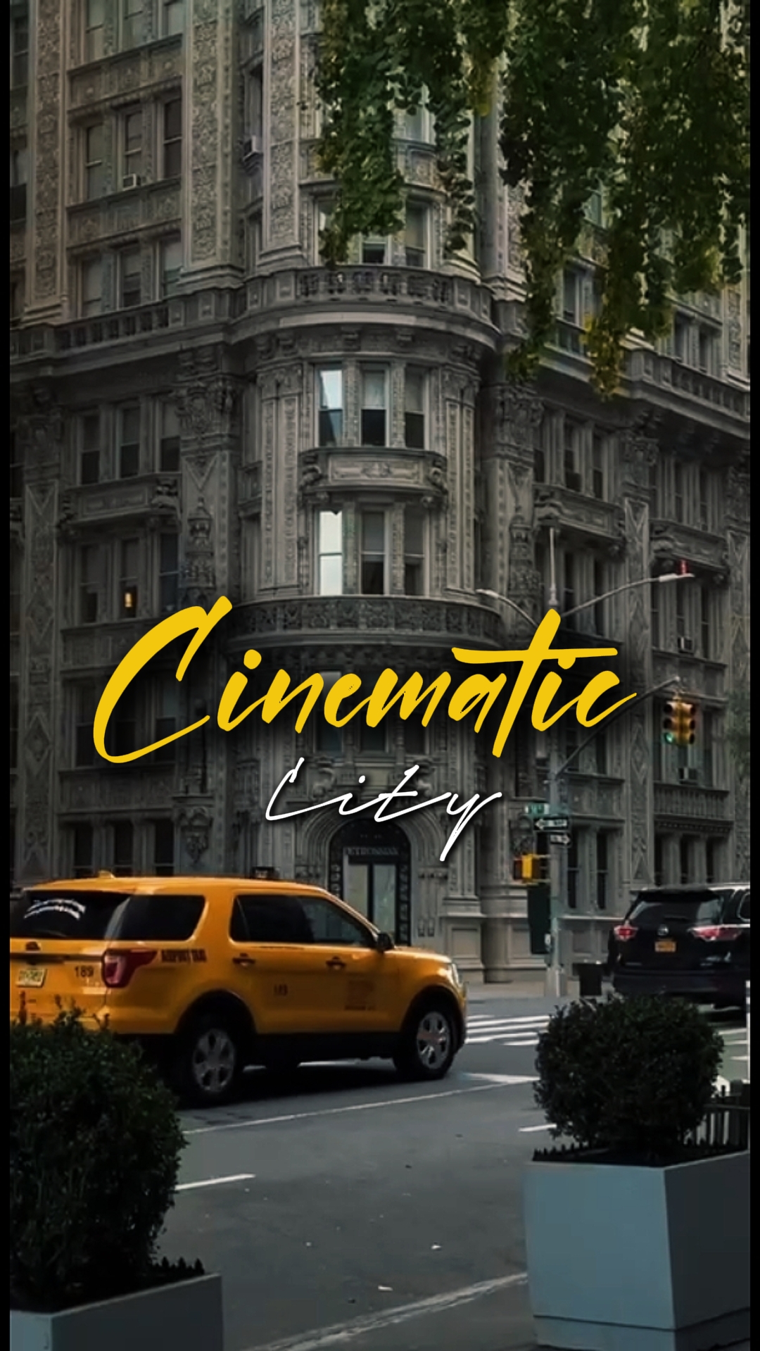 5 clips cinematic 