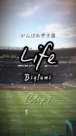 Life/Bigfumi