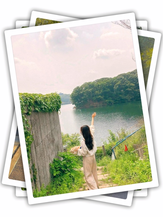 Aesthetic ng 6Pic Frame