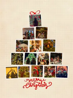 Merry Christmas 