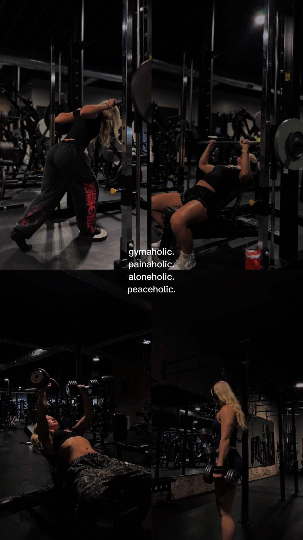 gymaholic 