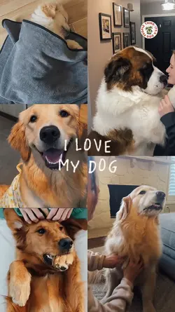 HAPPY DOG DAY