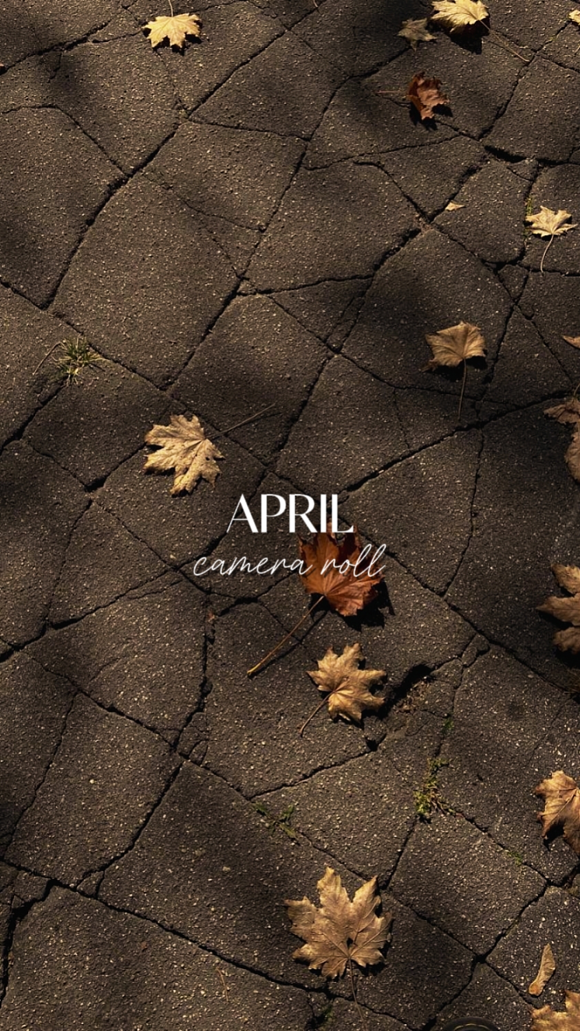 Rollo de cámara de abril