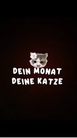 Katzen 
