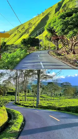 collage 2 video