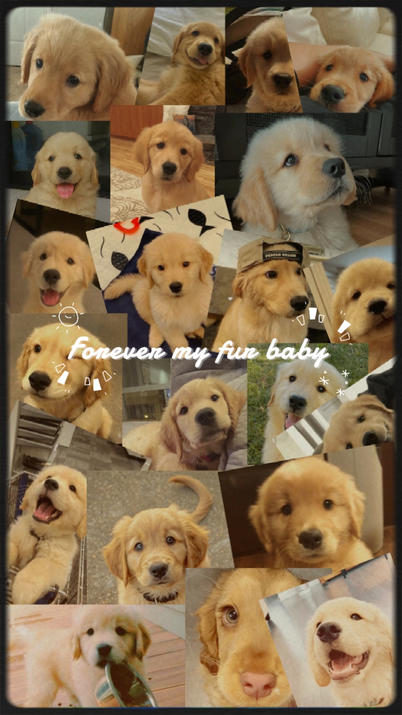 forever my fur baby 
