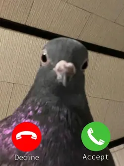 Calling meme
