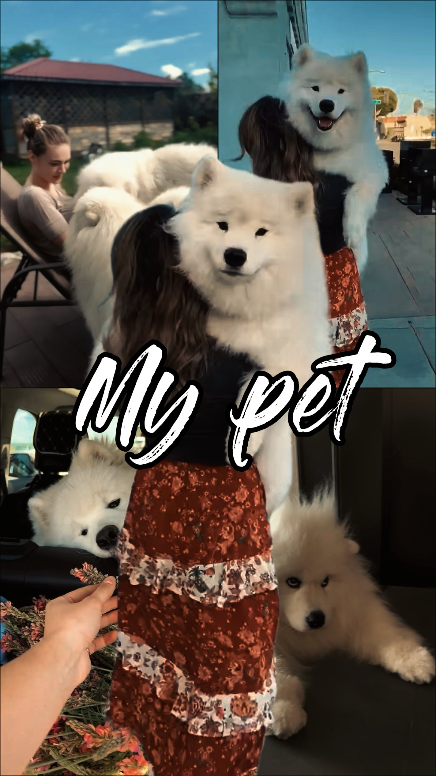 My pet