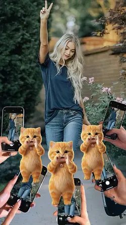 Cat Dance