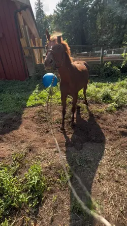 slowmotion.