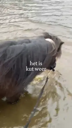 Kut weer