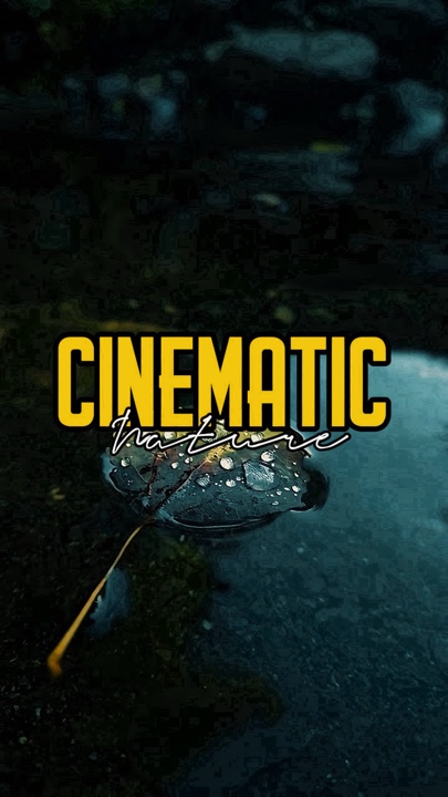Filmisch