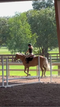 New saddle pad!😆😀