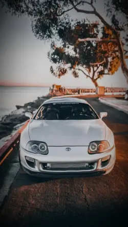 supra rev