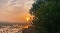 Mẫu Nhạc Chill Hay