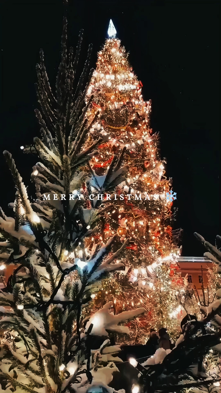 Carol of the Bells (tradução)