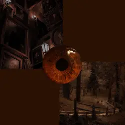 darkbrown&hazel eyes