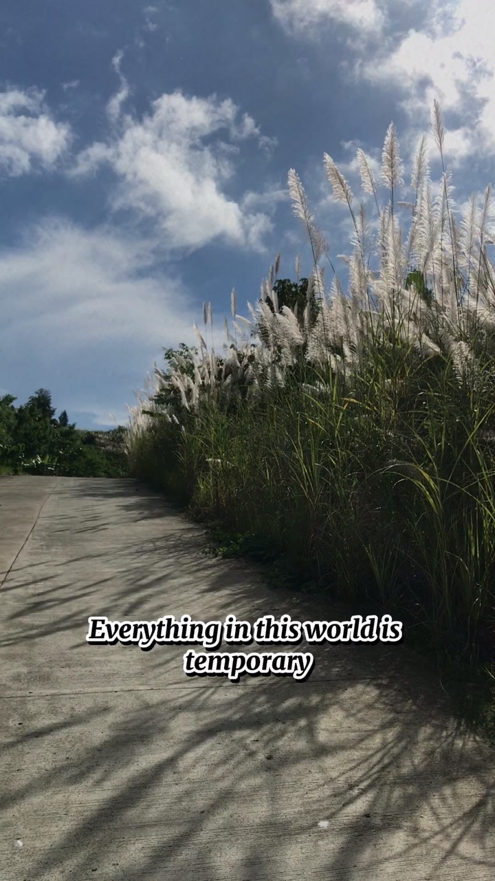 Dont give up