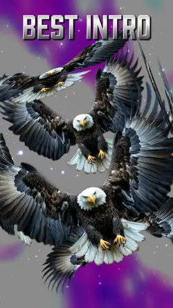 Eagle Best Intro