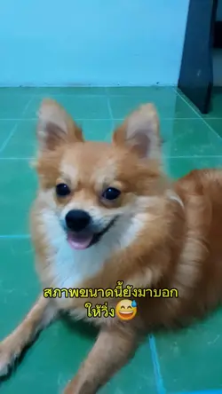 สภาพขนาดนี้555