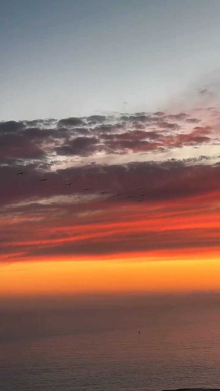 VlogStory 