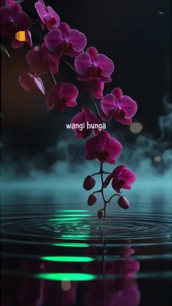 Wangi bunga