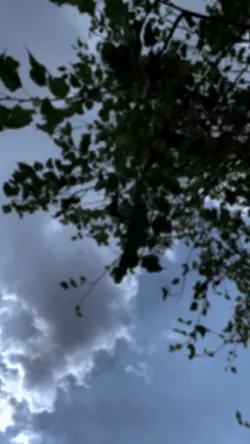 P: Adu Lumut trend🙃