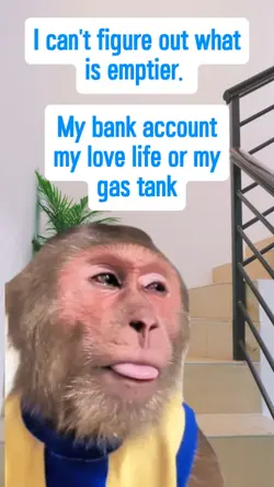 Can't figure out
