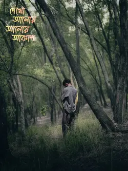 দেখো আলোয় আলোয় আকাশ 