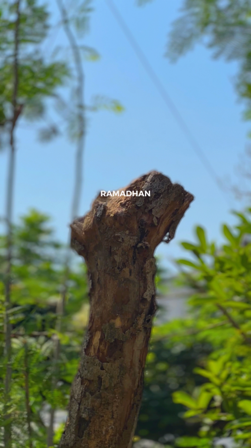 Ramadhan 