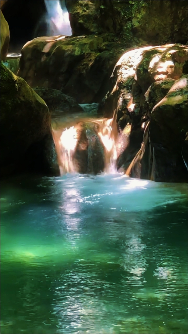 Nature • Cinematic