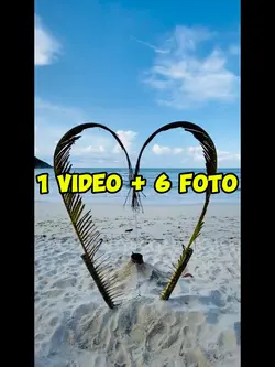 1 video 6 foto