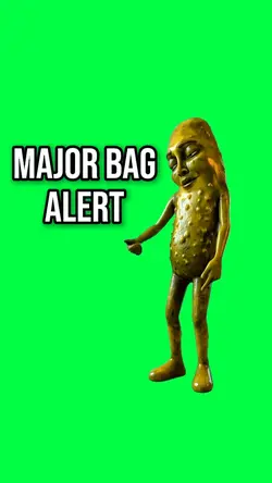 MAJOR BAG ALERT MEME